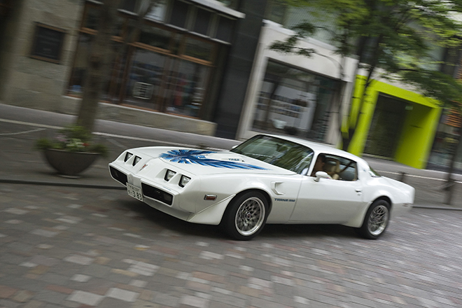 1979y ポンティアック ファイヤーバードトランザム、1979y PONTIAC Firebird Trans-Am