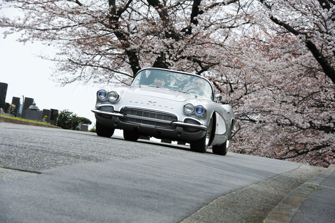 1961y CHEVROLET CORVETTE　C1とさくら