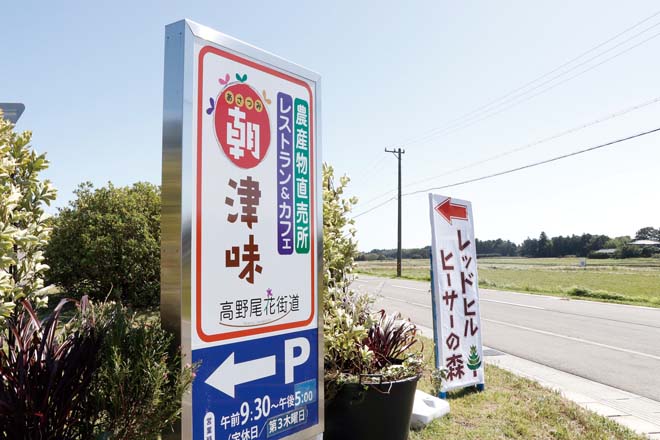 高野尾花街道 朝津味