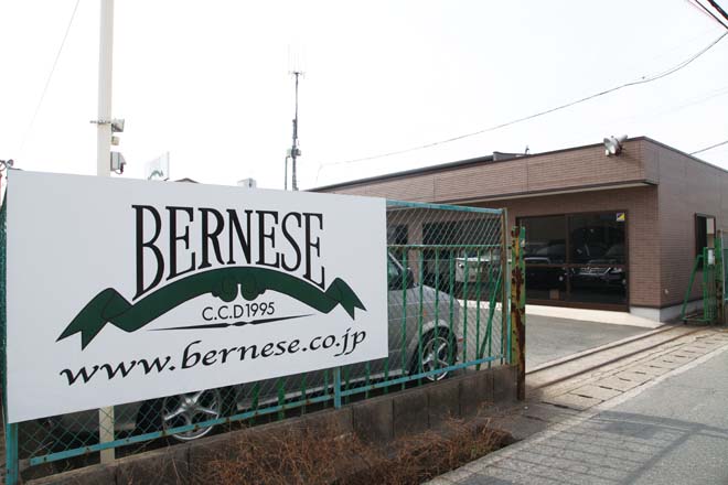 バーニーズ、BERNESE