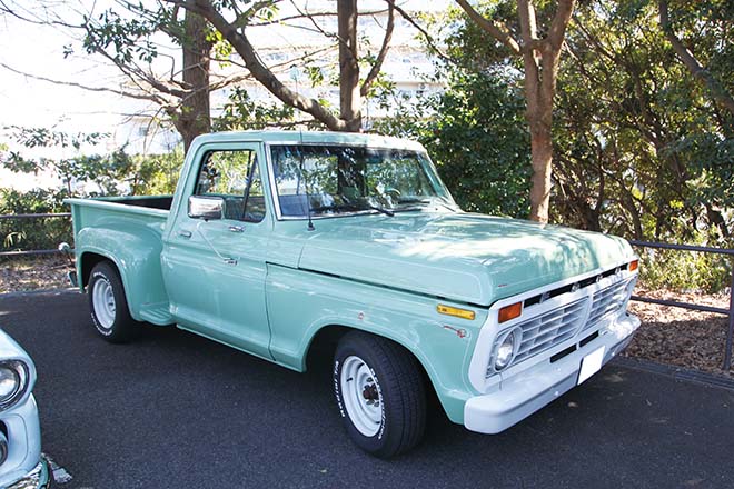 1973 Ford F100