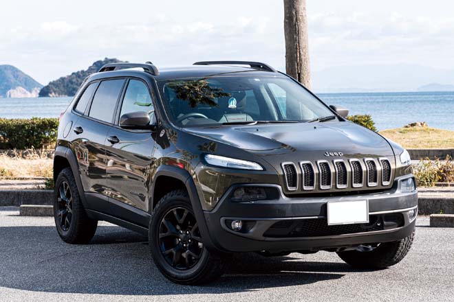 2014 JEEP CHEROKEE WARRIOR