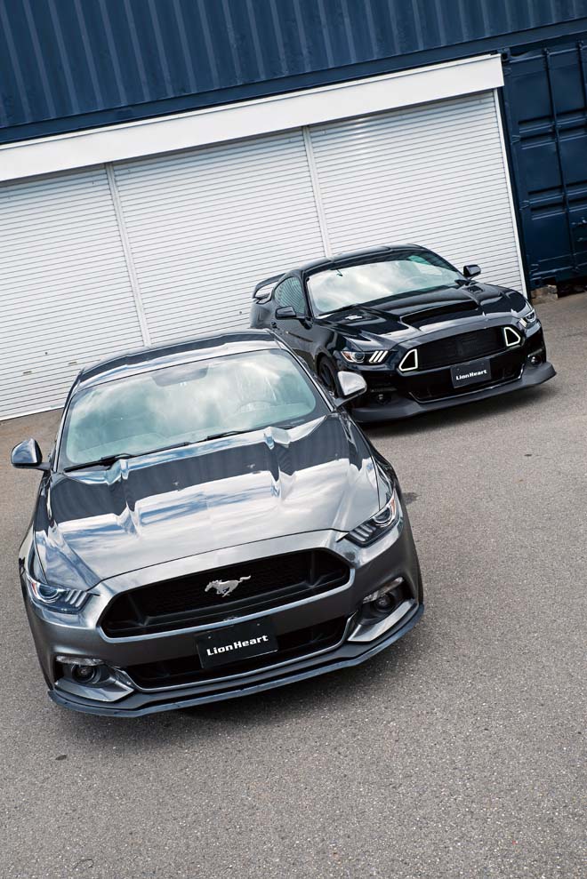 2015y FORD MUSTANG 50years EDITION、2016y FORD MUSTANG