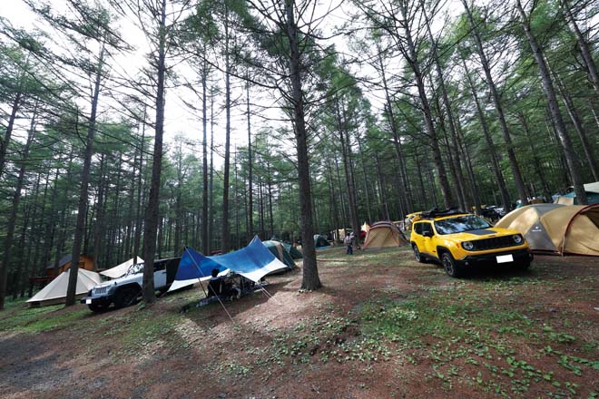 NATURE MEETING、ファイブスター東都