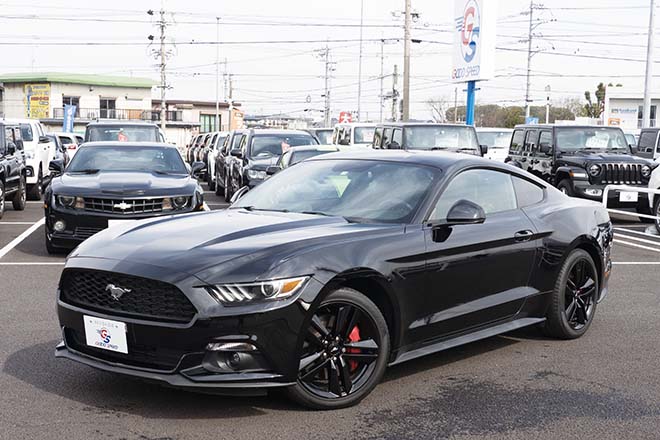 2015 FORD MUSTANG 50YEARS EDITION