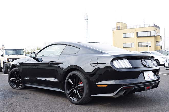 2015 FORD MUSTANG 50YEARS EDITION