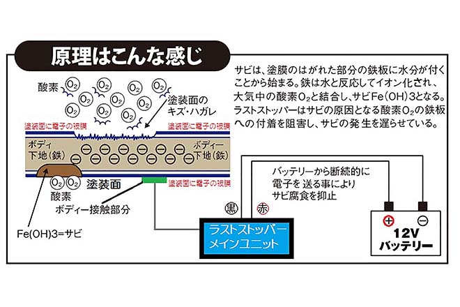 繧ｵ繝偵ｙ逅・ｫ悶仙次遞ｿ縲_