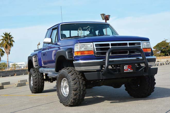 1995 FORD F-150