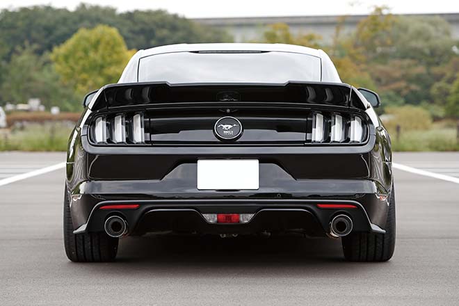 2015 FORD MUSTANG 50YEARS EDITION