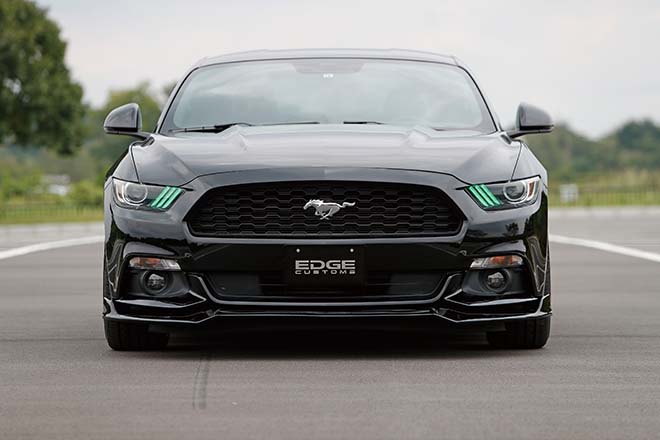 2015 FORD MUSTANG 50YEARS EDITION