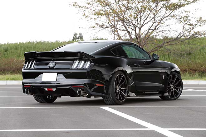 2015 FORD MUSTANG 50YEARS EDITION