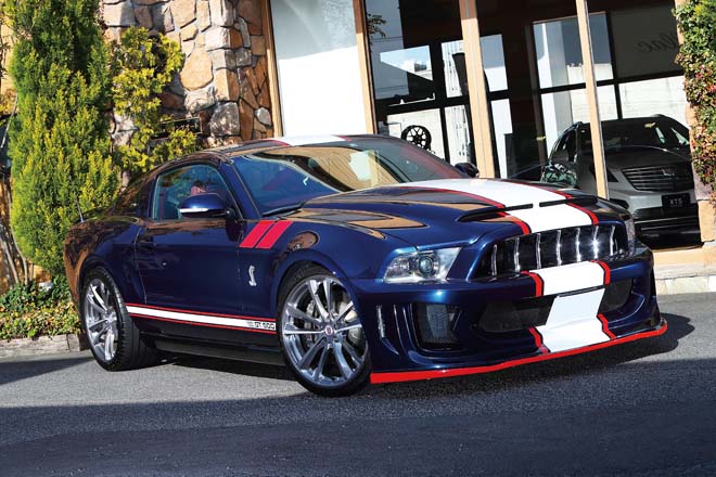 2010 FORD MUSTANG SHELBY GT500