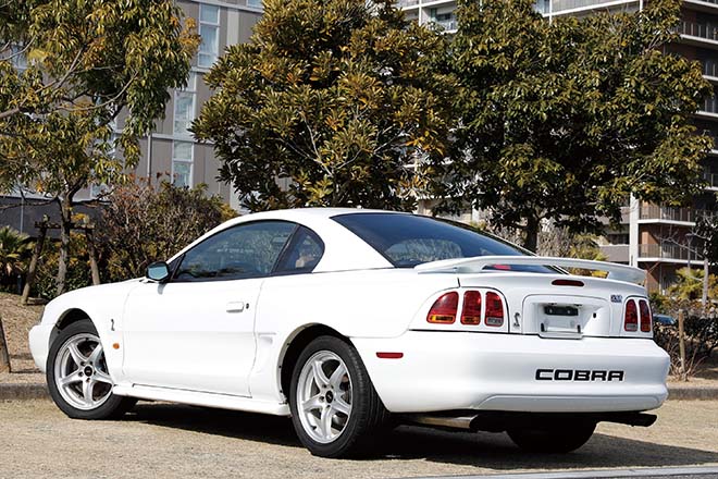 1998y FORD MUSTANG SVT COBRA