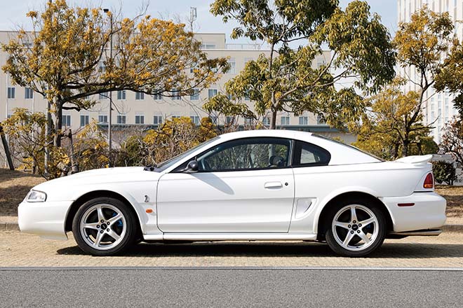 1998y FORD MUSTANG SVT COBRA