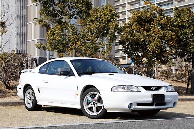 1998y FORD MUSTANG SVT COBRA