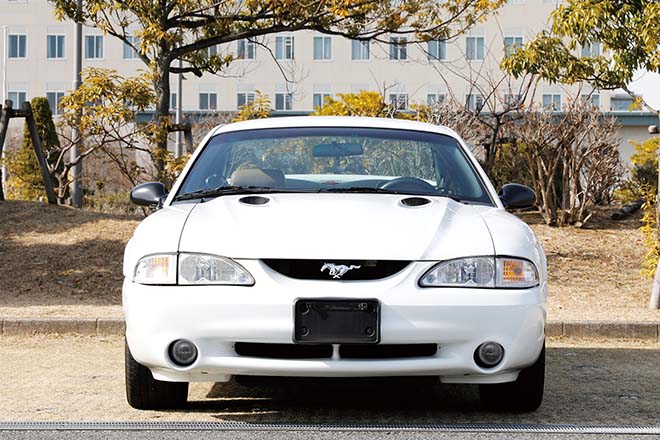 1998y FORD MUSTANG SVT COBRA