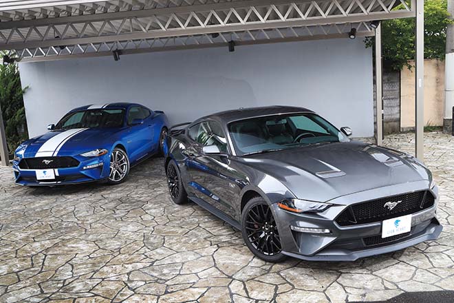 2019 FORD MUSTANG GT Performance / 2019 FORD MUSTANG GT