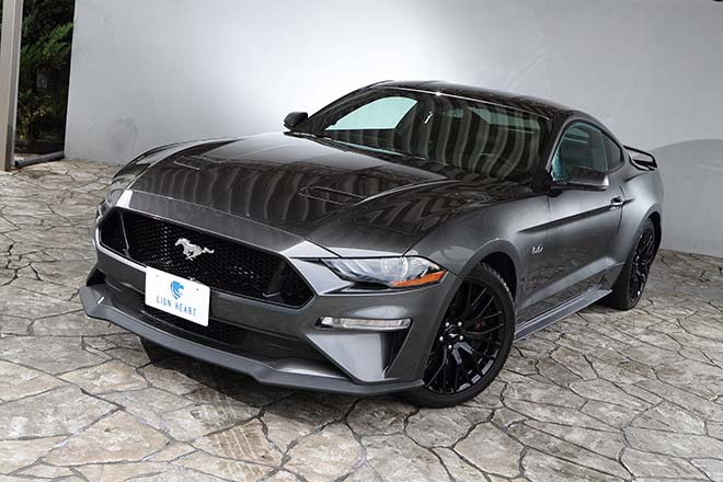 2019 FORD MUSTANG GT Performance