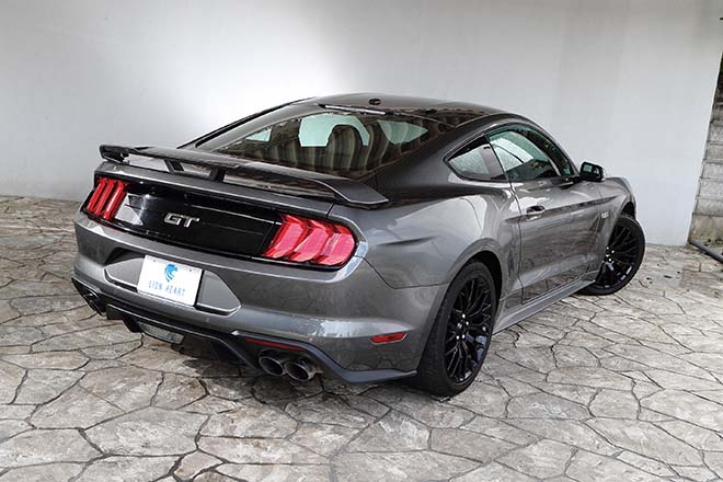 2019 FORD MUSTANG GT Performance