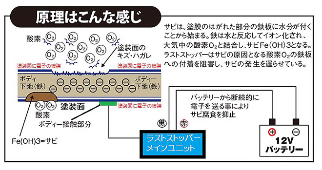 繧ｵ繝偵ｙ逅・ｫ悶仙次遞ｿ縲