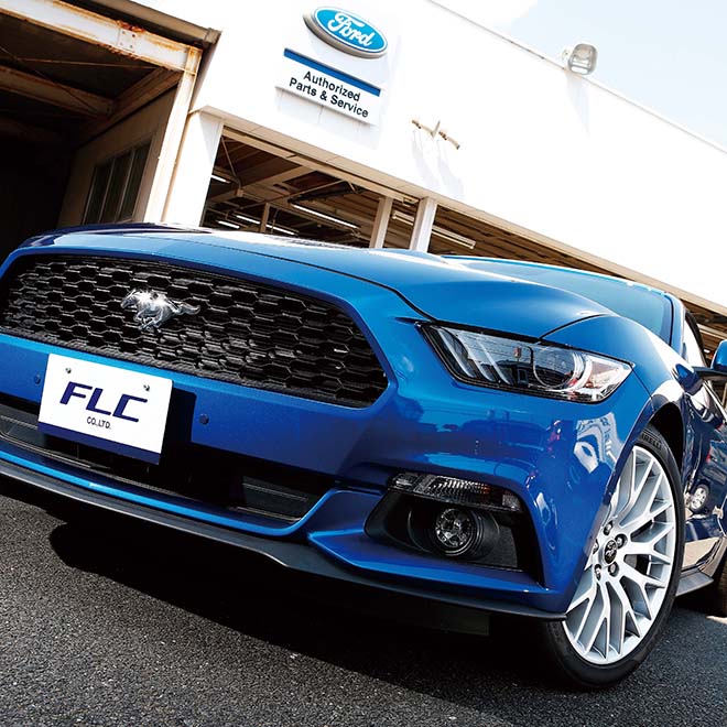 2017 FORD MUSTANG EcoBoost Convertible