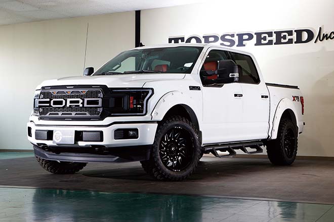 FORD F-150 RAPTOR STYLE CUSTOM