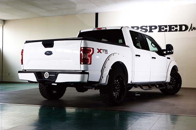 FORD F-150 RAPTOR STYLE CUSTOM