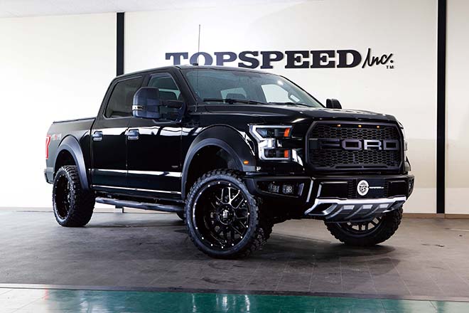 FORD F-150 RAPTOR STYLE CUSTOM