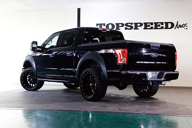 FORD F-150 RAPTOR STYLE CUSTOM