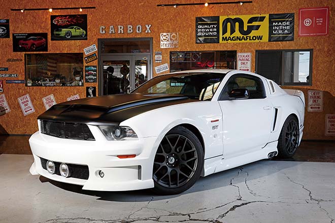 2010 FORD MUSTANG GT